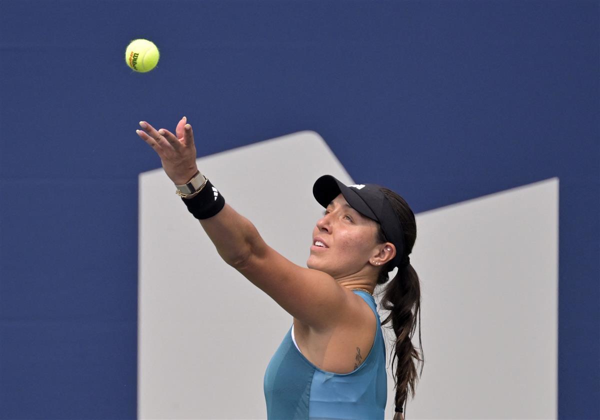 更高并获得 更高并获得