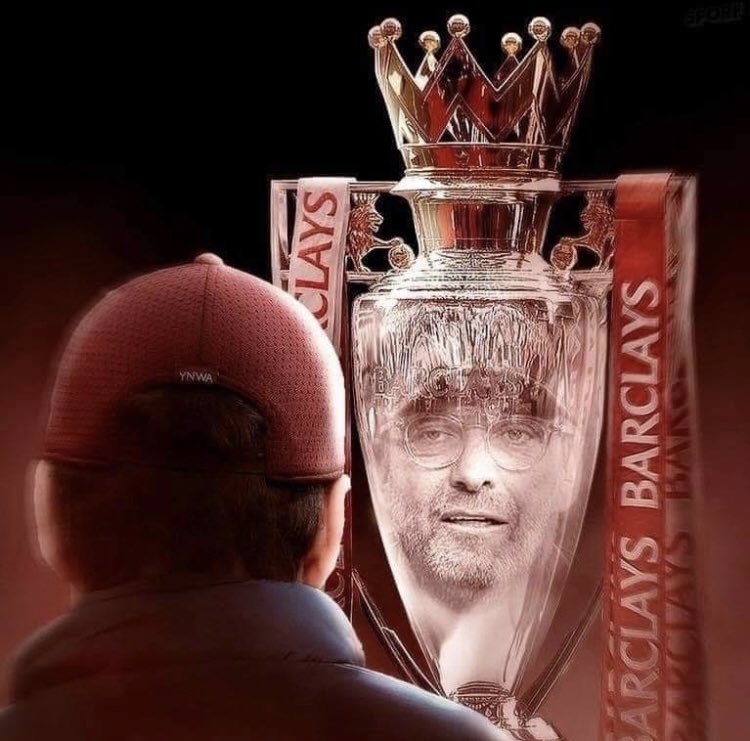 双车分化 双车分化